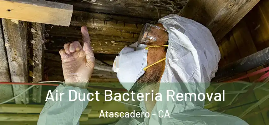 Air Duct Bacteria Removal Atascadero - CA