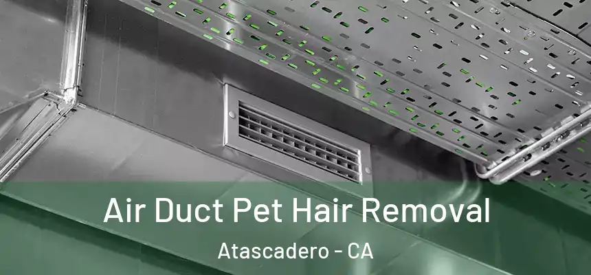  Air Duct Pet Hair Removal Atascadero - CA