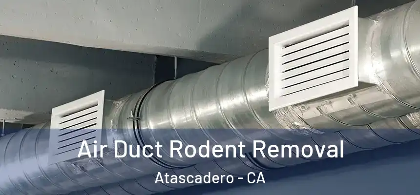  Air Duct Rodent Removal Atascadero - CA
