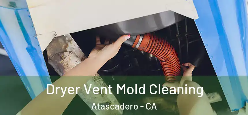  Dryer Vent Mold Cleaning Atascadero - CA