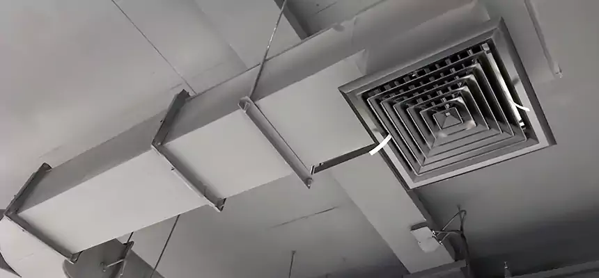 Restorative Allergy Relief Vent Cleaning – Coil, Blower & Housing Detail in Atascadero