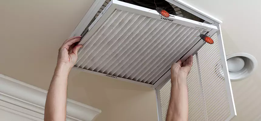Our Insect Removal from Air Ducts Services in Atascadero, CA