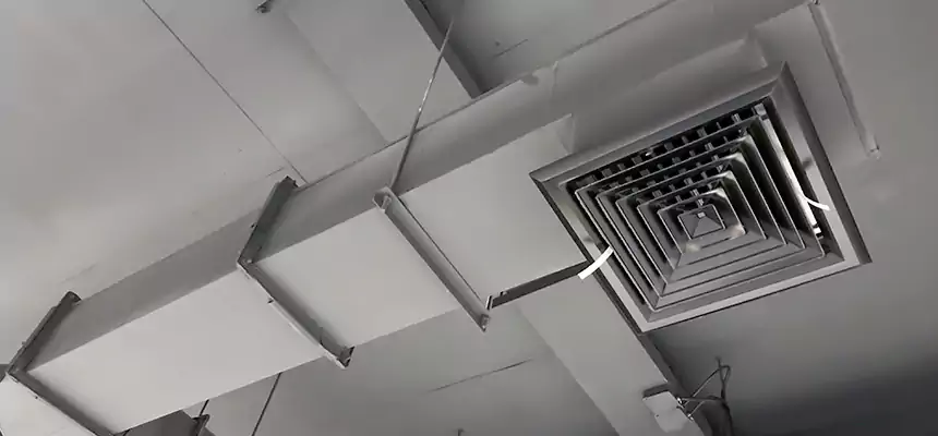 Our Rodent Droppings In Vents Services in Atascadero, CA