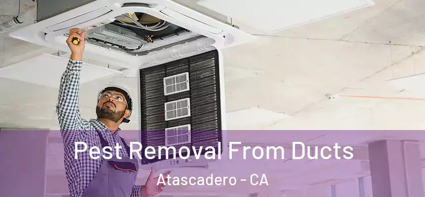  Pest Removal From Ducts Atascadero - CA