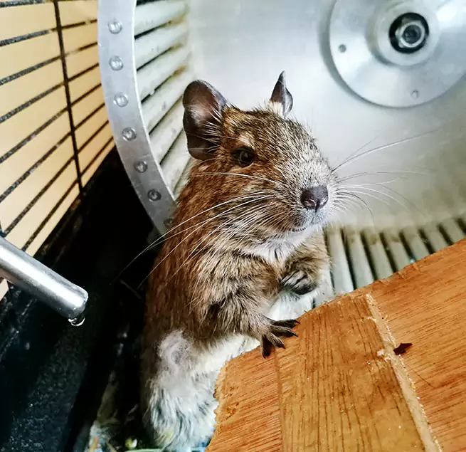 Why Homeowners & Businesses Trust Us Atascadero, CA