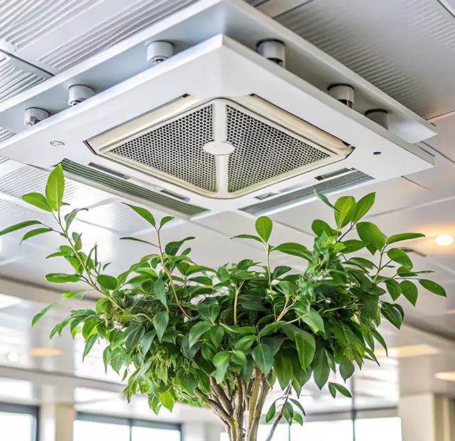 Why Homeowners & Businesses Trust Us in Atascadero, CA